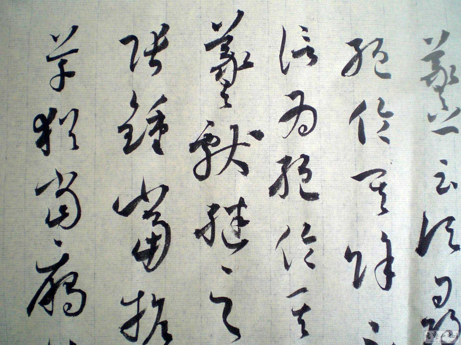 CIMG000400.jpg
