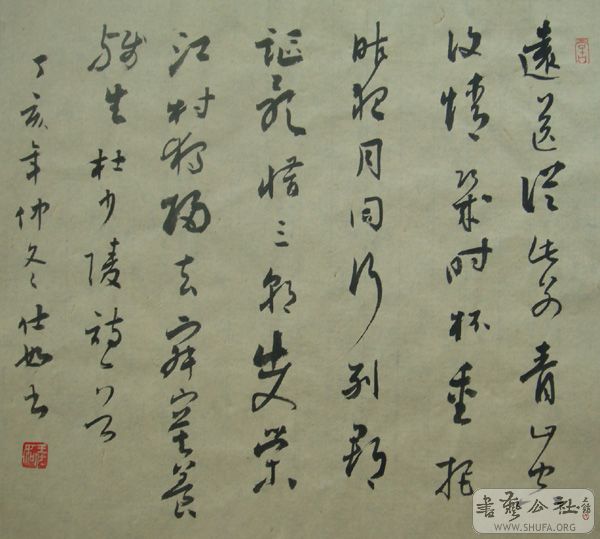 DSC02633.jpg