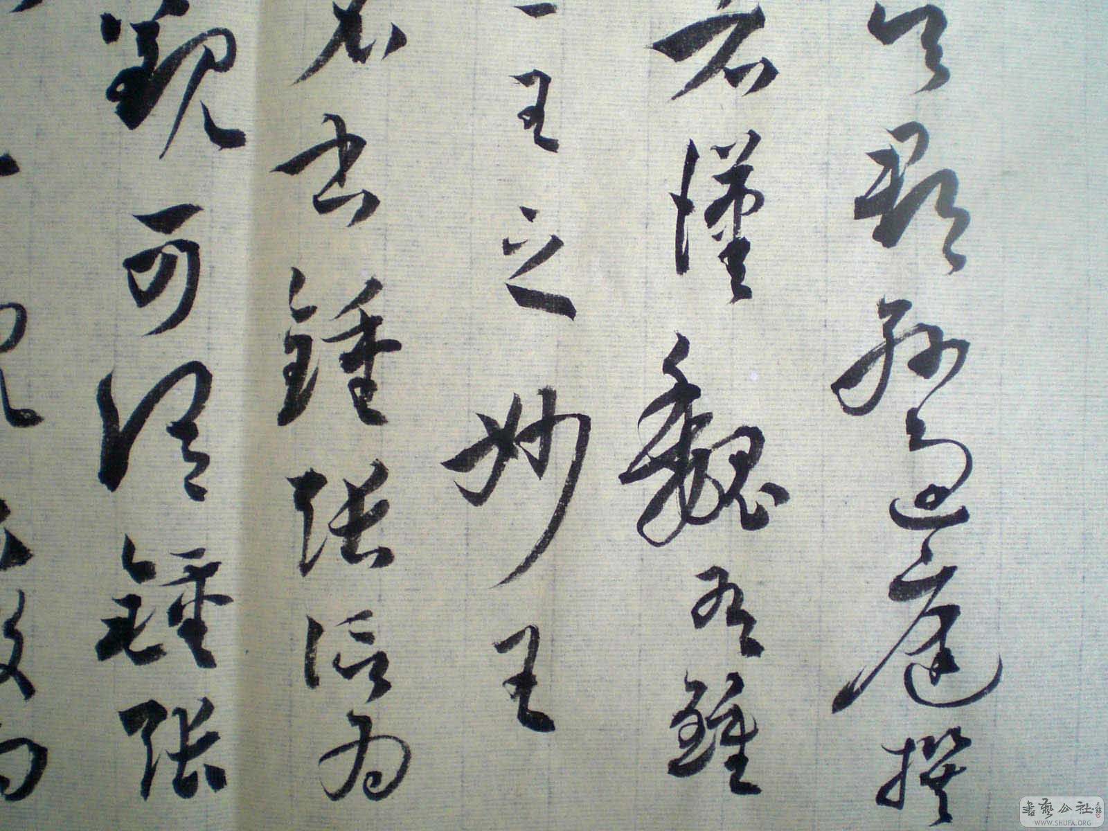 CIMG000300.jpg