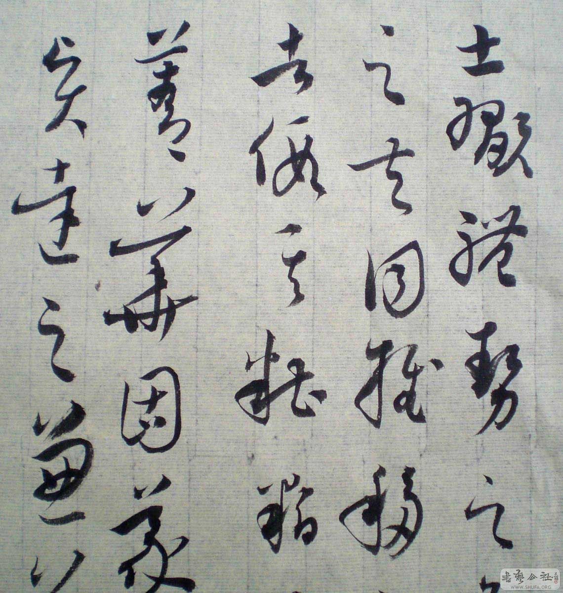 CIMG001200.jpg