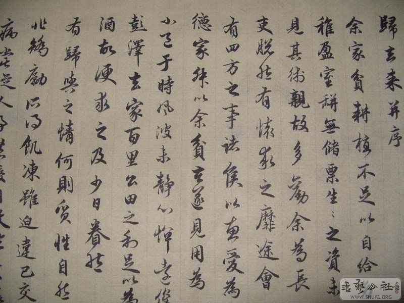 S1052205.jpg