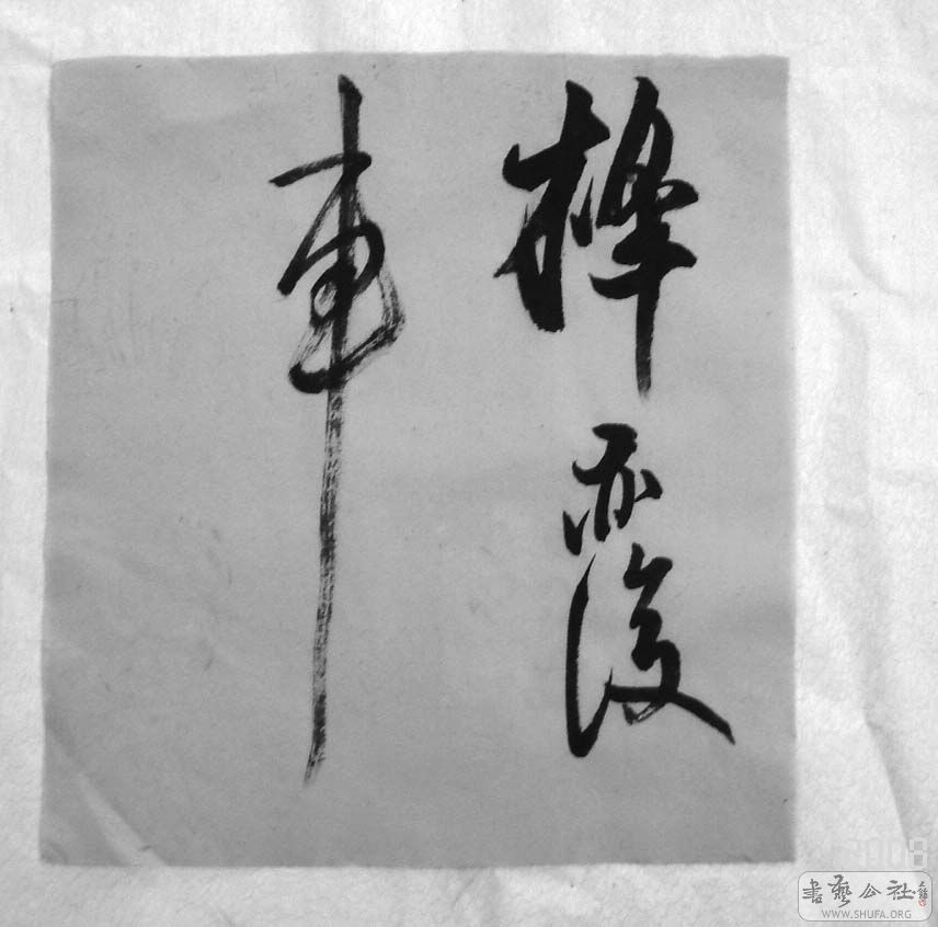 DSC05568.JPG