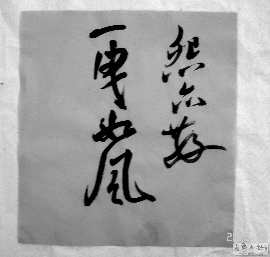 DSC05575.JPG
