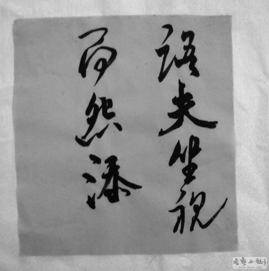 DSC05567.JPG