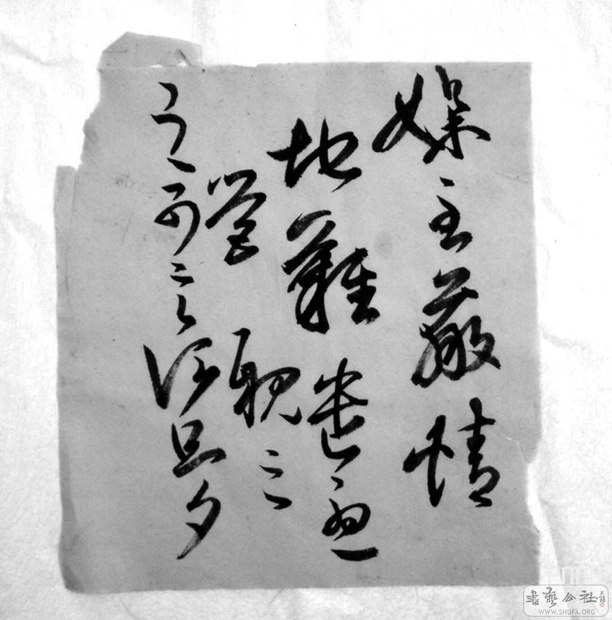 DSC05552.JPG