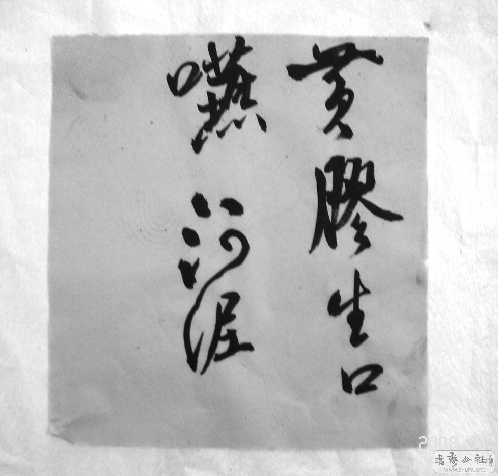 DSC05574.JPG