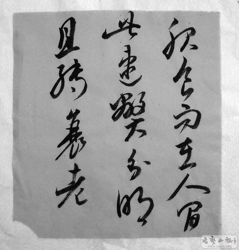DSC05547.JPG