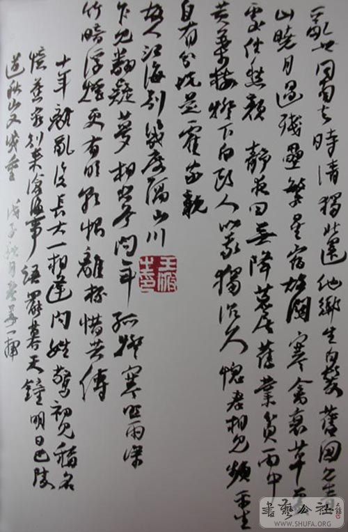 DSCN4128.jpg