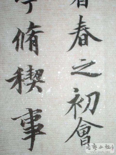 IMGP9825.JPG