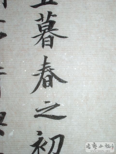 IMGP9824.JPG