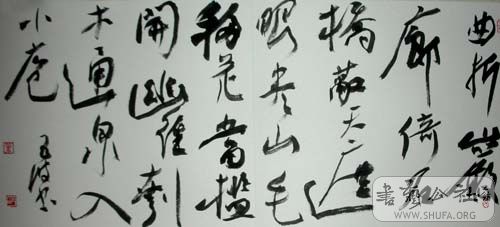 DSCN2537.JPG