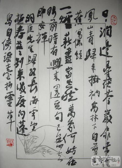 DSCN4155.jpg