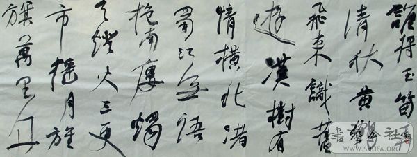 DSC04980.JPG