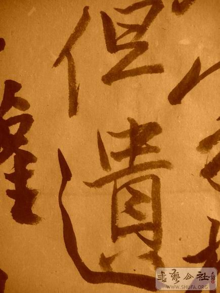 ������С IMG_5026.JPG