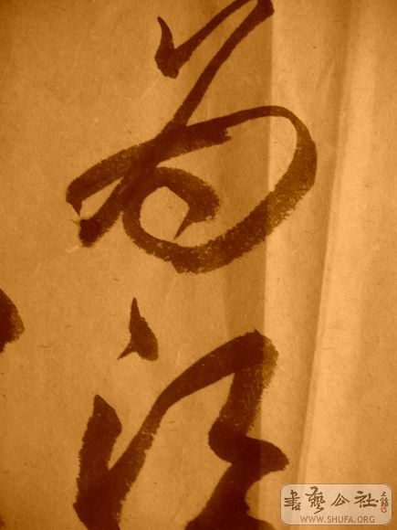 ������С IMG_5093.JPG