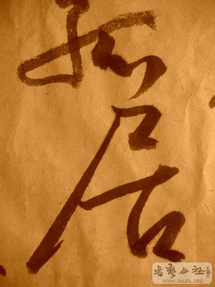 ������С IMG_5119.JPG