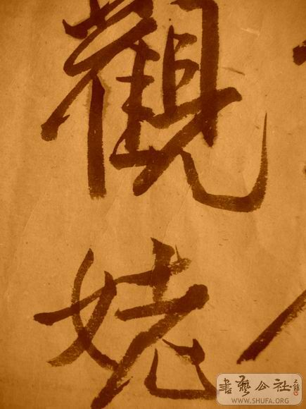 ������С IMG_5131.JPG