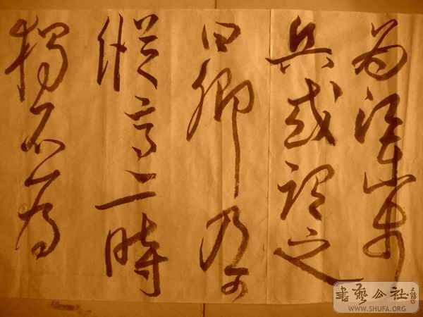 ������С IMG_5072.JPG