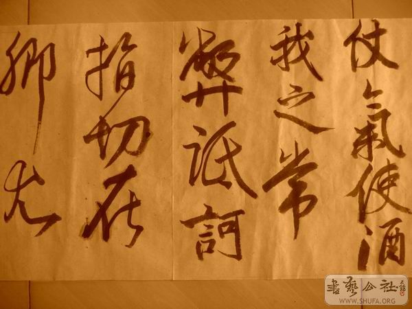 ������С IMG_5079.JPG