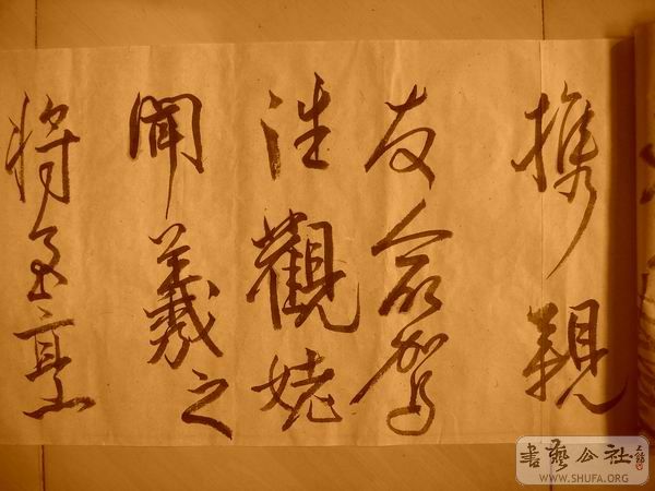 ������С IMG_5077.JPG