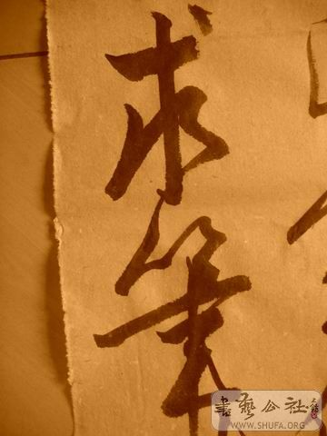 ������С IMG_5014.JPG