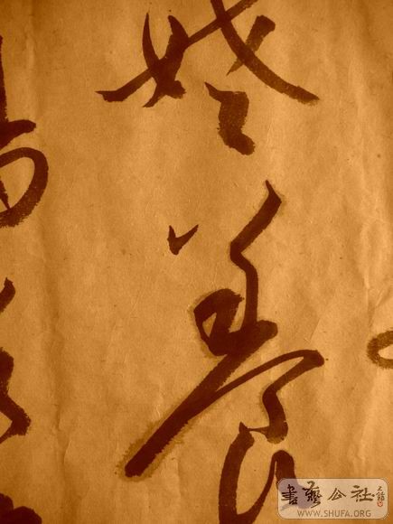 ������С IMG_5120.JPG