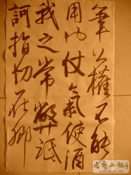 ������С IMG_5042.JPG