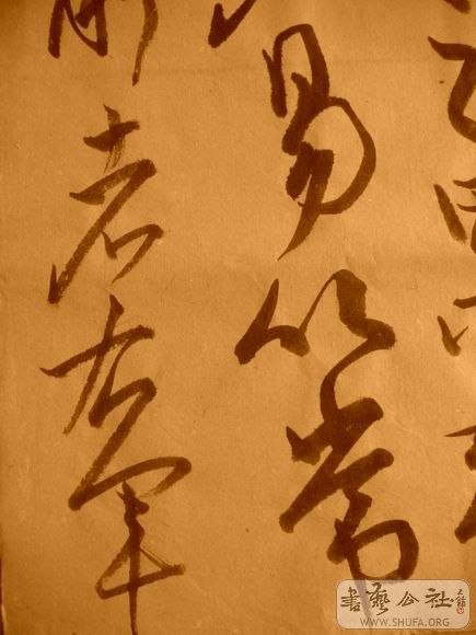 ������С IMG_5034.JPG