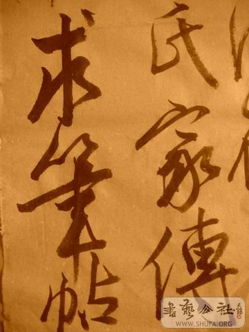 ������С IMG_5002.JPG