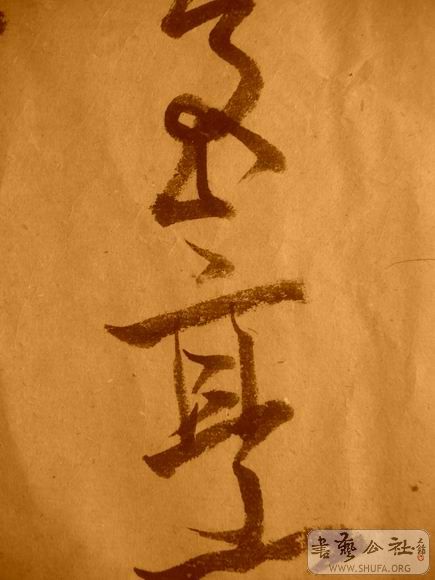 ������С IMG_5135.JPG