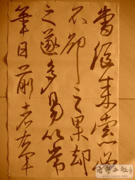 ������С IMG_5030.JPG