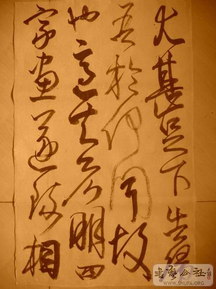 ������С IMG_5055.JPG