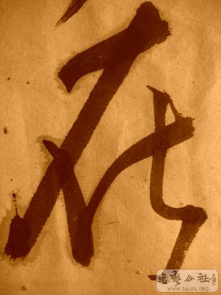 ������С IMG_5148.JPG