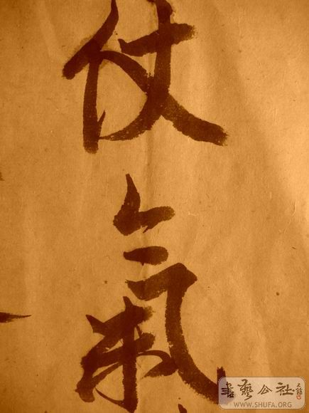 ������С IMG_5141.JPG