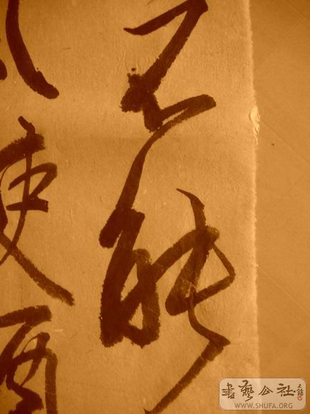 ������С IMG_5043.JPG