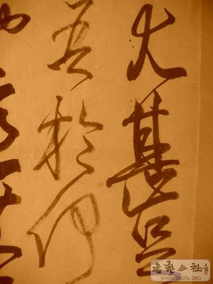 ������С IMG_5056.JPG