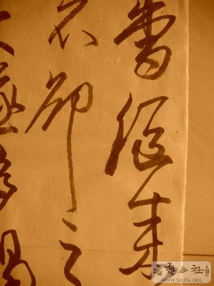 ������С IMG_5031.JPG