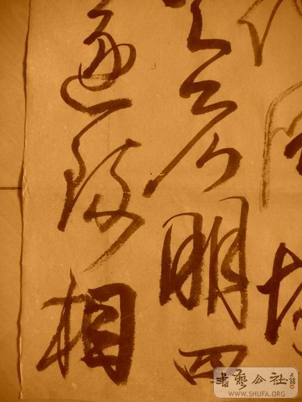 ������С IMG_5059.JPG