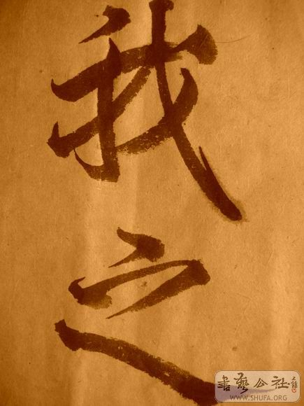 ������С IMG_5143.JPG