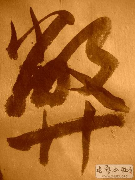 ������С IMG_5051.JPG