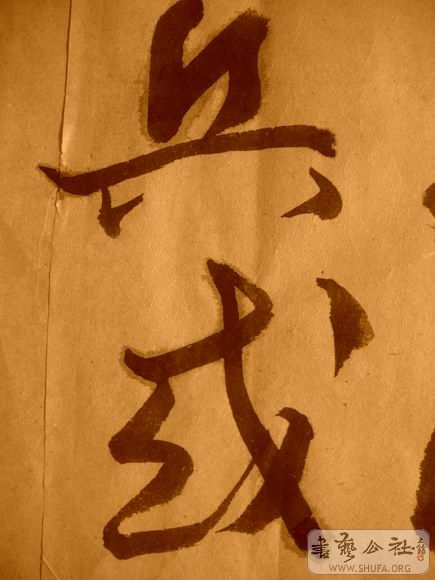 ������С IMG_5095.JPG