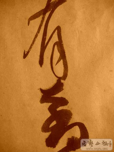 ������С IMG_5139.JPG