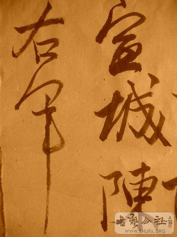 ������С IMG_5001.JPG