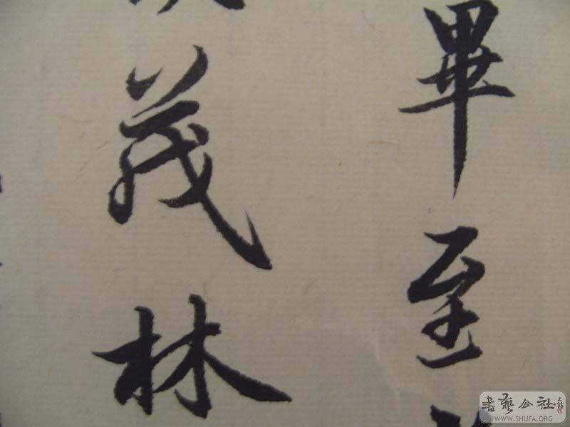 S1052361.jpg