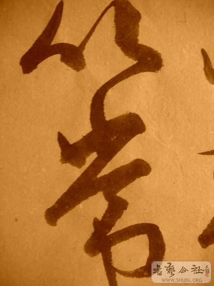 ������С IMG_5039.JPG