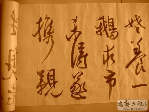 ������С IMG_5076.JPG