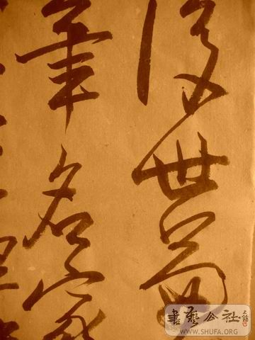 ������С IMG_5016.JPG