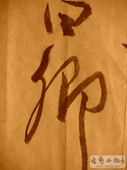 ������С IMG_5097.JPG