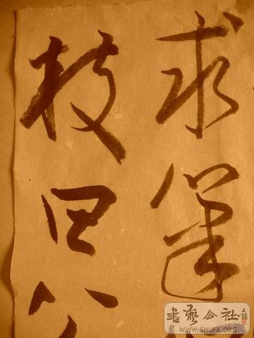 ������С IMG_5018.JPG