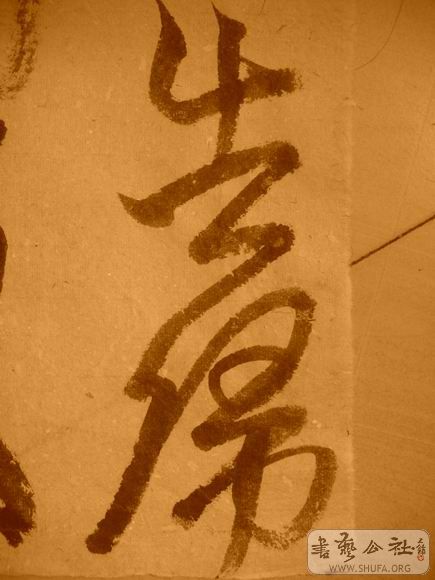 ������С IMG_5063.JPG